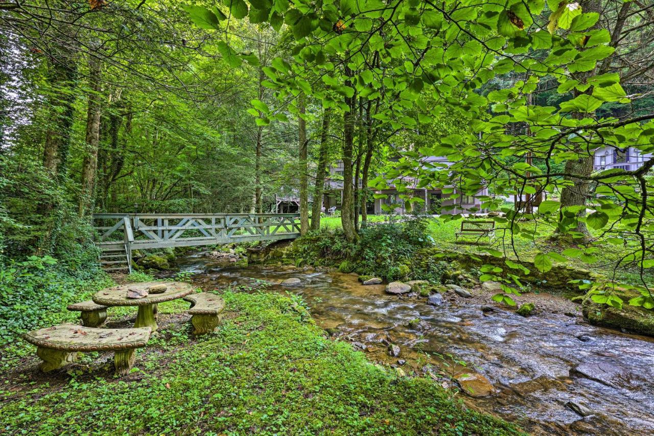 Creekside Roan Mountain Cabin Walk To Trails Экстерьер фото