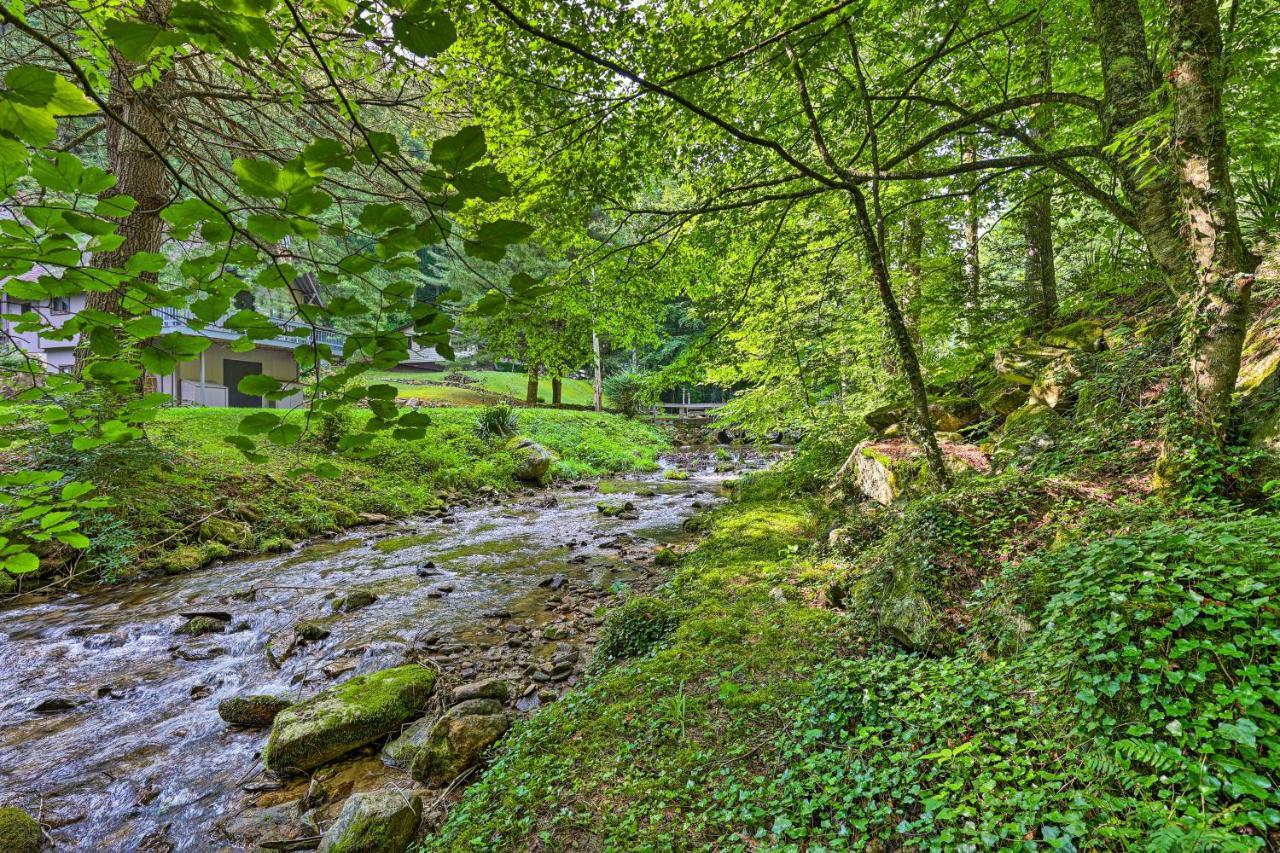 Creekside Roan Mountain Cabin Walk To Trails Экстерьер фото